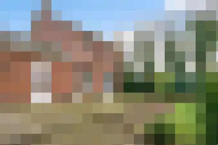 Begijnenpeelweg 5 Weert thumbnail 43