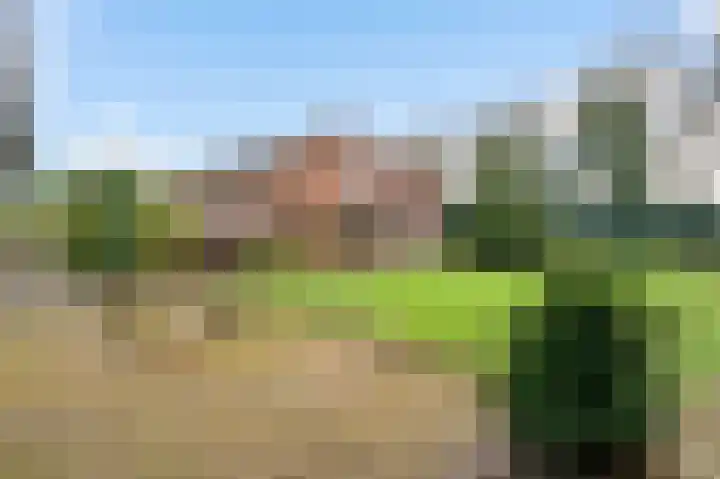 Begijnenpeelweg 5 Weert thumbnail 45