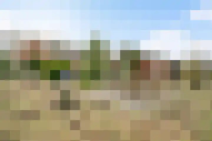 Begijnenpeelweg 5 Weert thumbnail 49