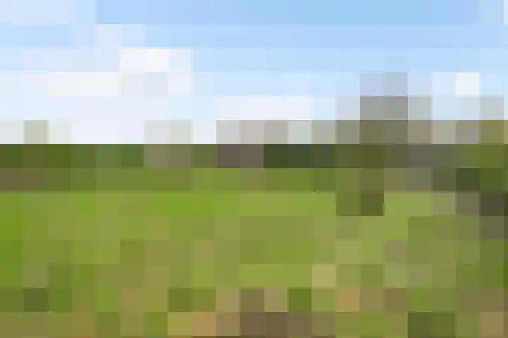 Begijnenpeelweg 5 Weert thumbnail 52
