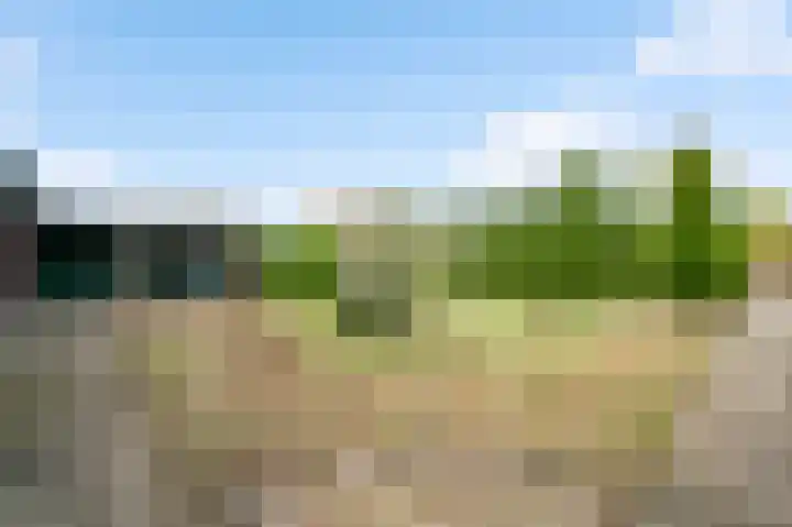 Begijnenpeelweg 5 Weert thumbnail 54