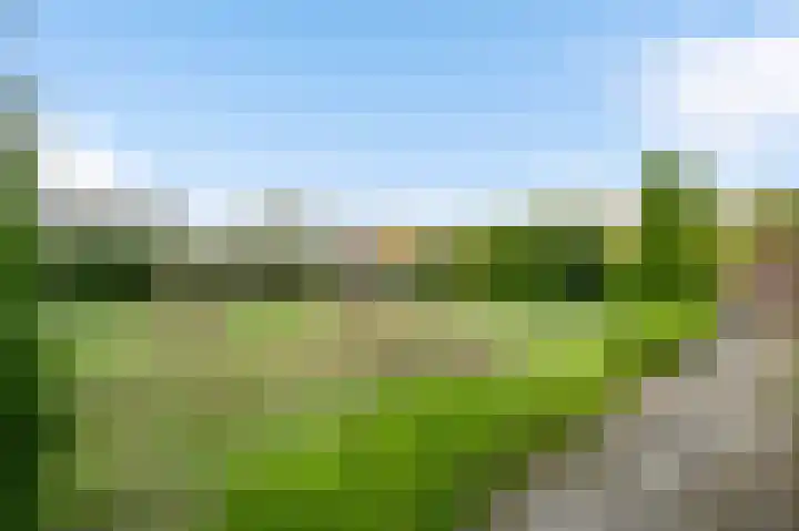 Begijnenpeelweg 5 Weert thumbnail 55