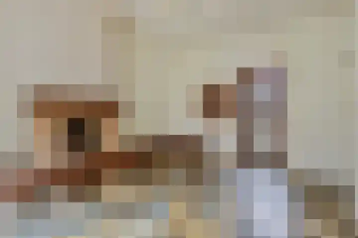 Begijnenstraat 13 Nijmegen thumbnail 11