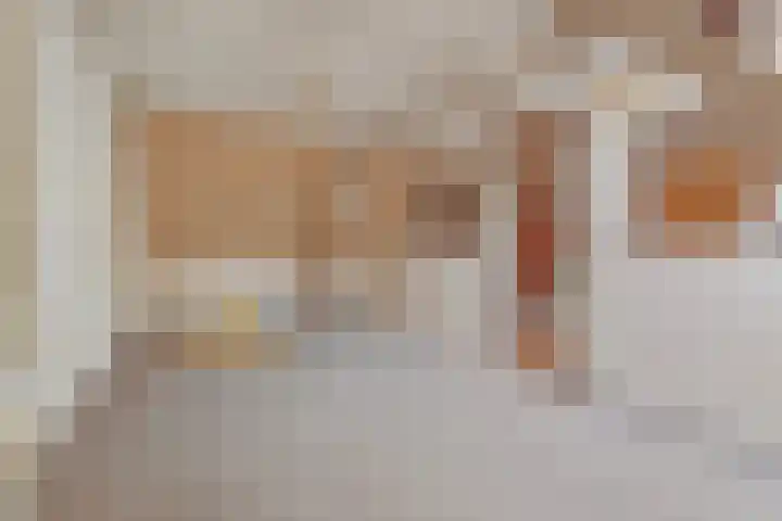 Begijnenstraat 13 Nijmegen thumbnail 25