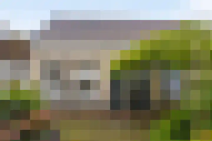Begijnenstraat 13 Nijmegen thumbnail 6