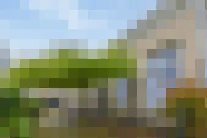 Begijnenstraat 13 Nijmegen thumbnail 7