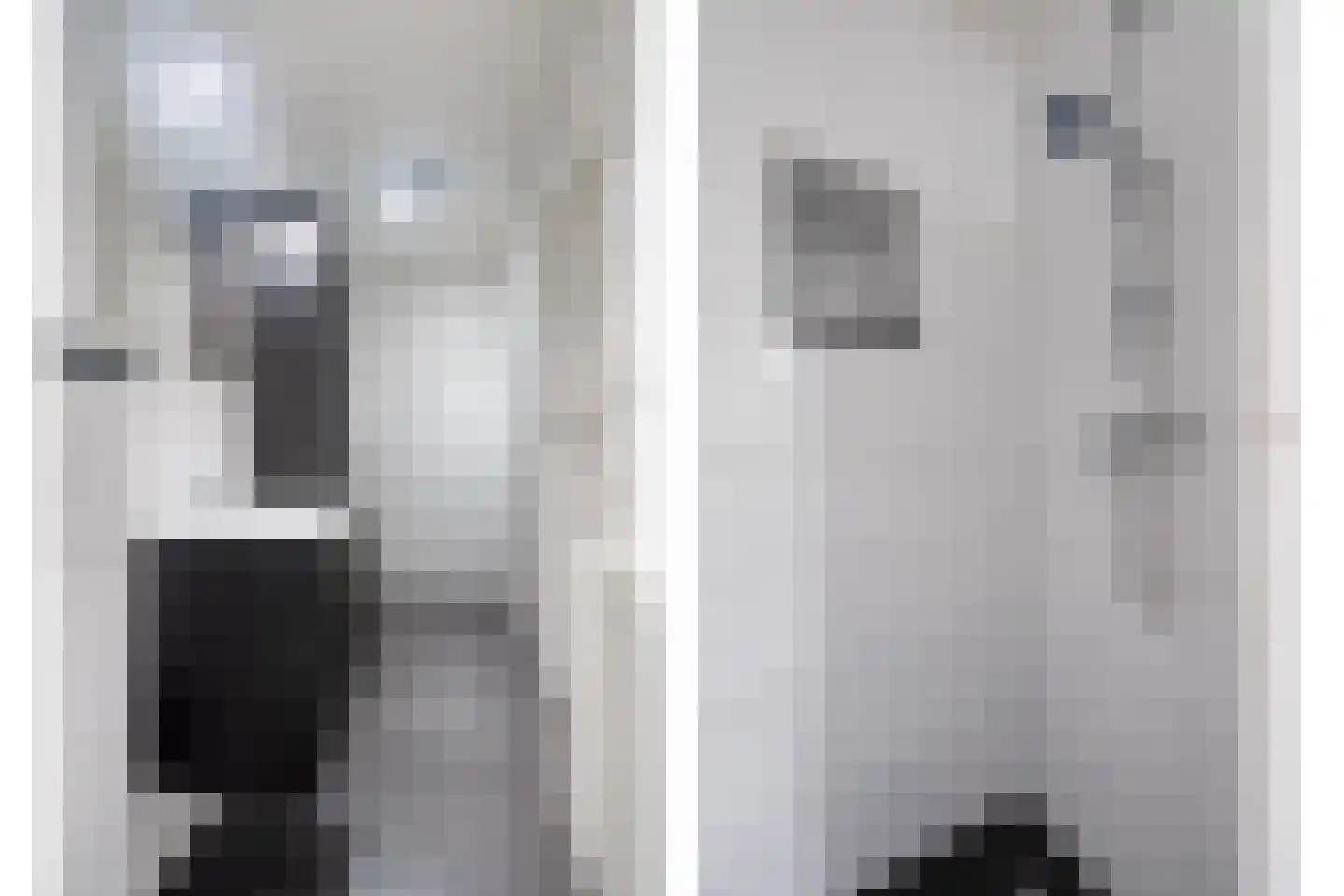 Begijnenstraat 16 A Oss thumbnail 18