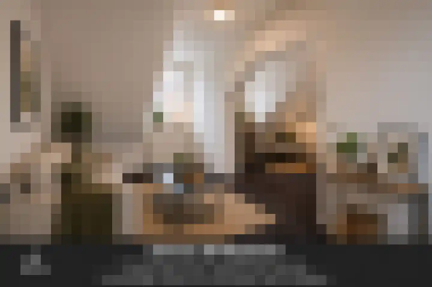Begijnenstraat 16 Oss thumbnail 13