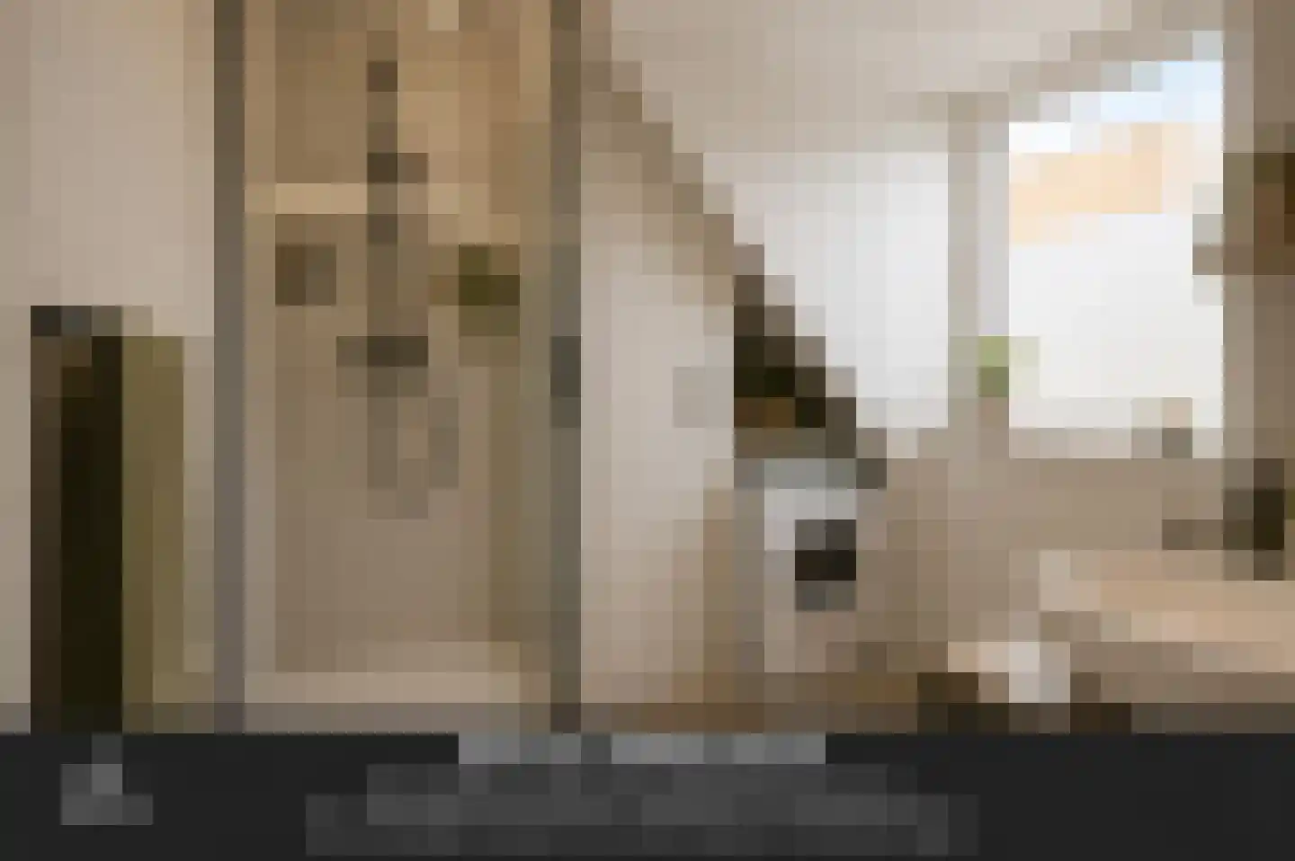 Begijnenstraat 16 Oss thumbnail 20