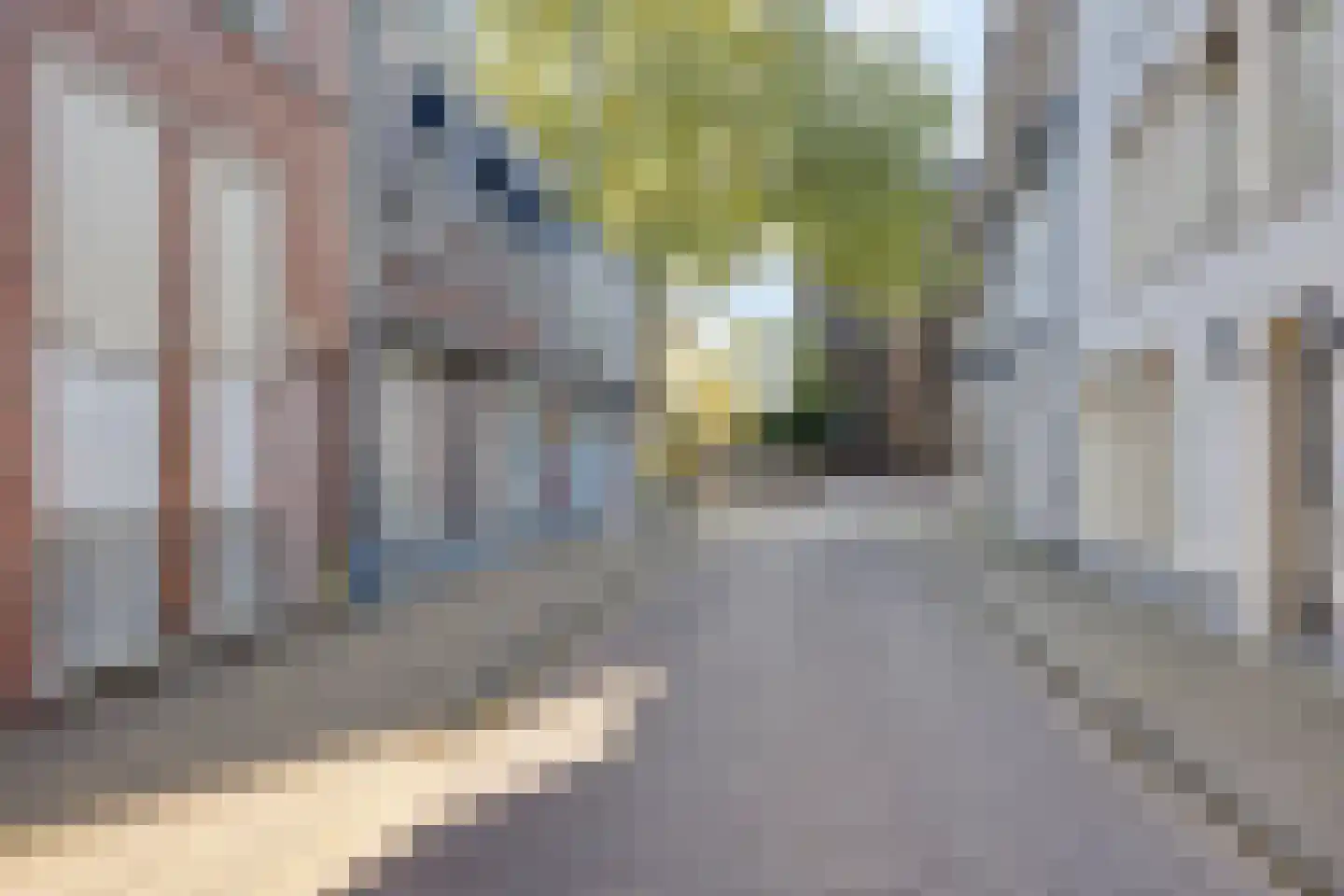 Begijnenstraat 16 Oss thumbnail 26