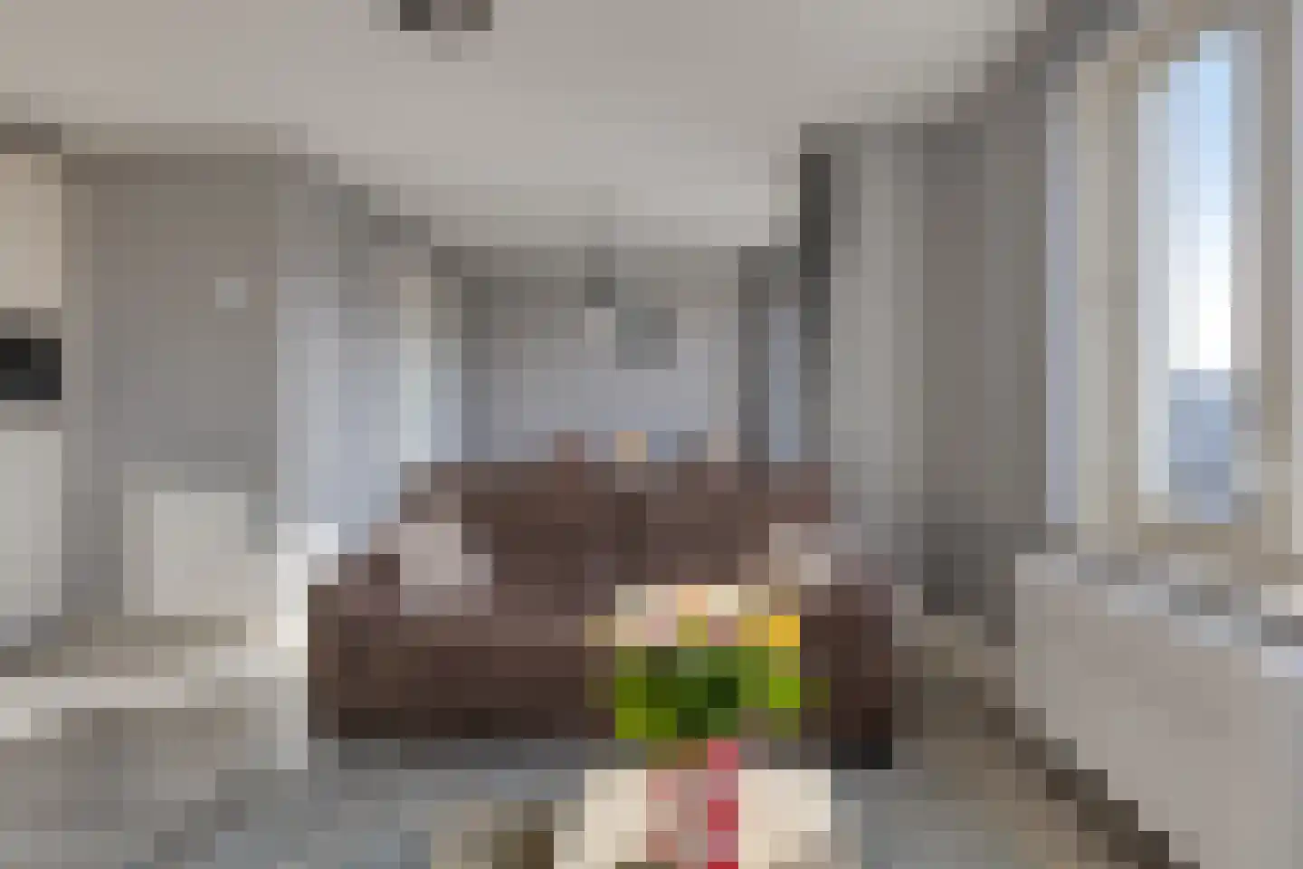Begijnenstraat 161 F Oss thumbnail 15