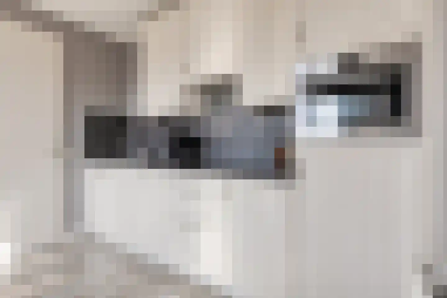 Begijnenstraat 161 F Oss thumbnail 17