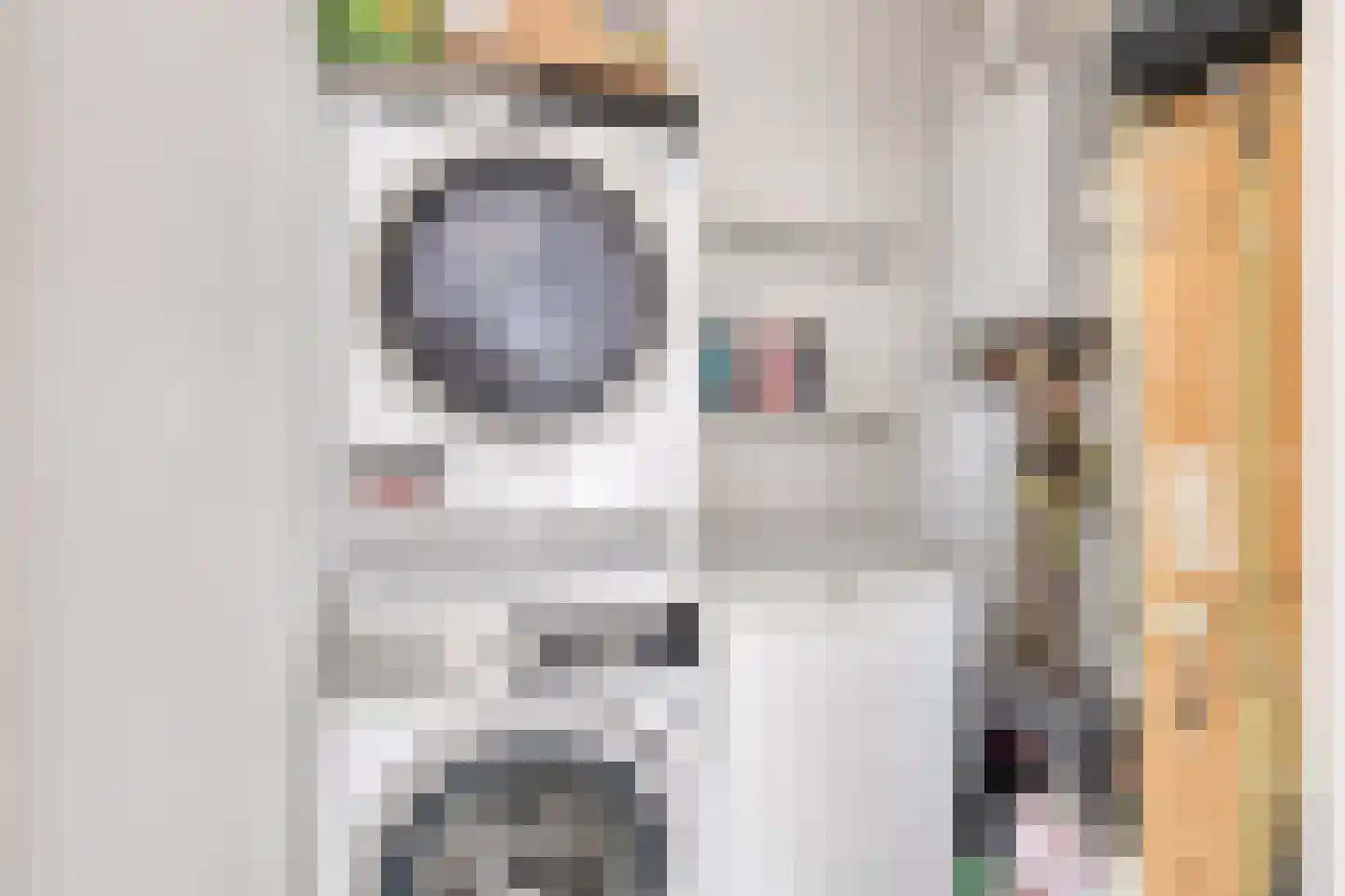 Begijnenstraat 161 F Oss thumbnail 18