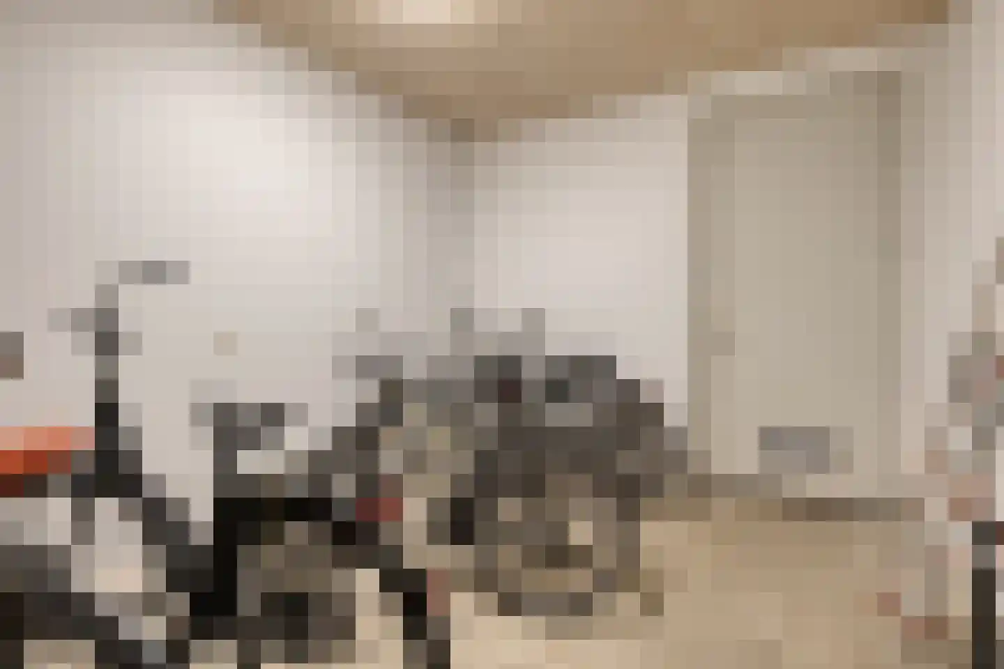 Begijnenstraat 161 F Oss thumbnail 23