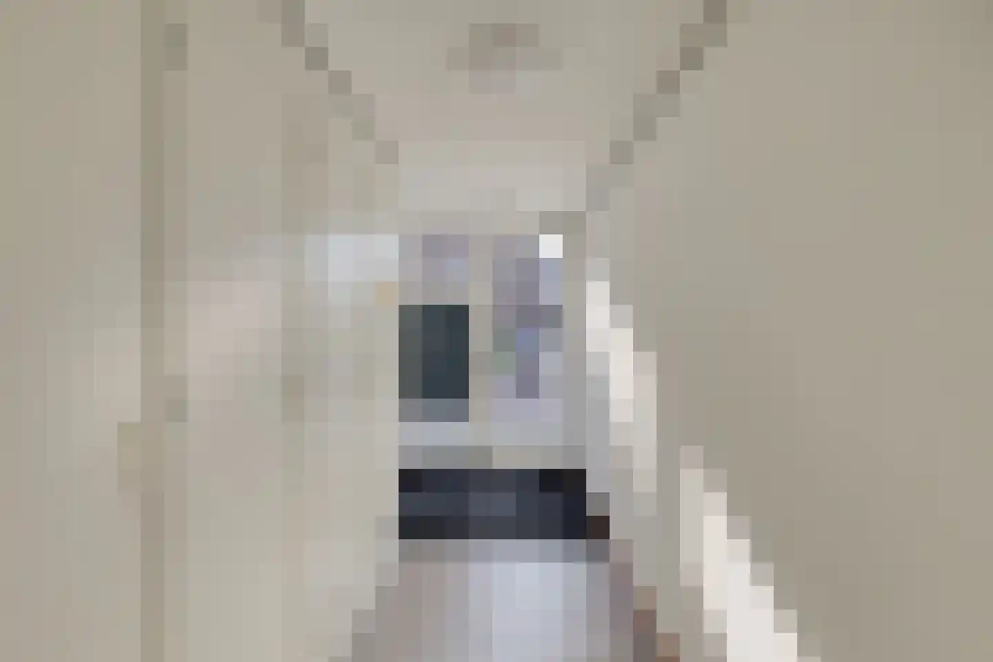 Begijnenstraat 161 F Oss thumbnail 7