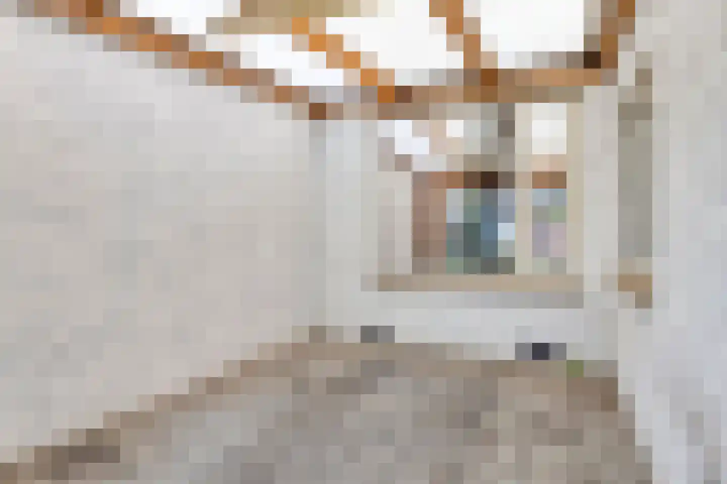 Begijnenstraat 21 Boxmeer thumbnail 16
