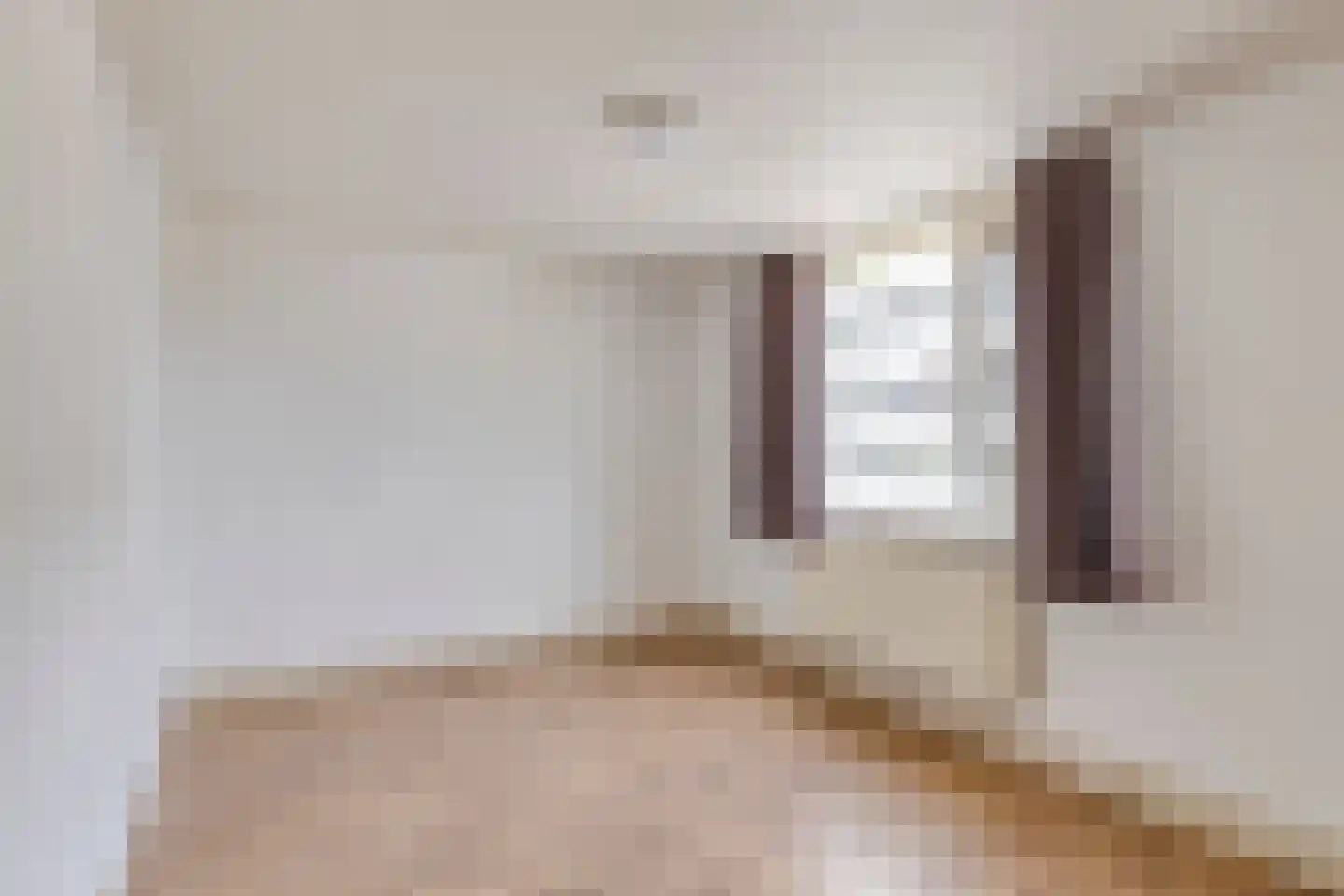 Begijnenstraat 21 Boxmeer thumbnail 20