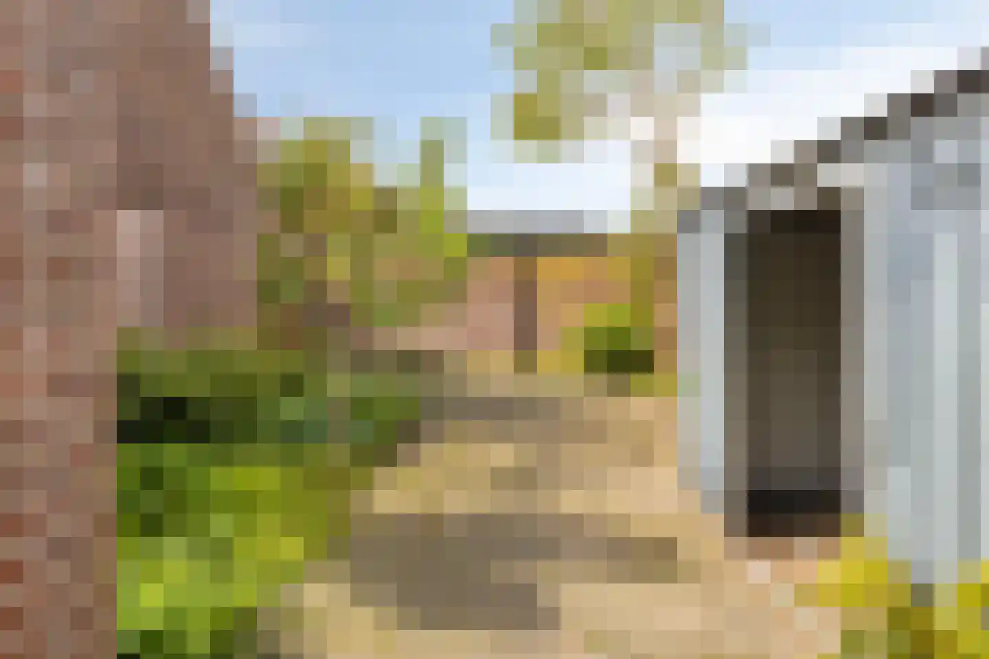 Begijnenstraat 21 Boxmeer thumbnail 22