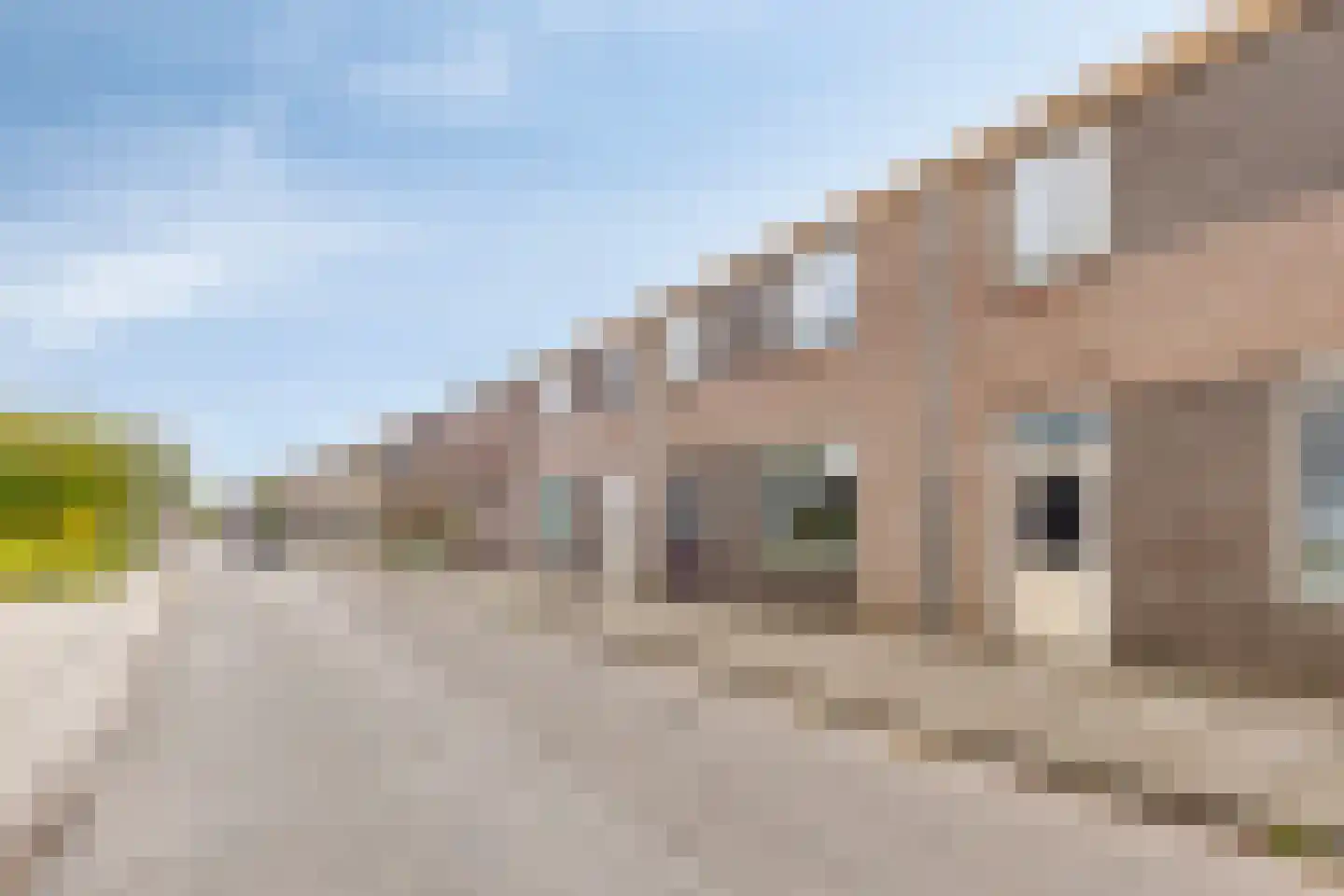 Begijnenstraat 21 Boxmeer thumbnail 5