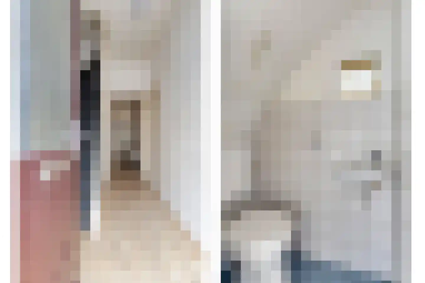 Begijnenstraat 21 Boxmeer thumbnail 8