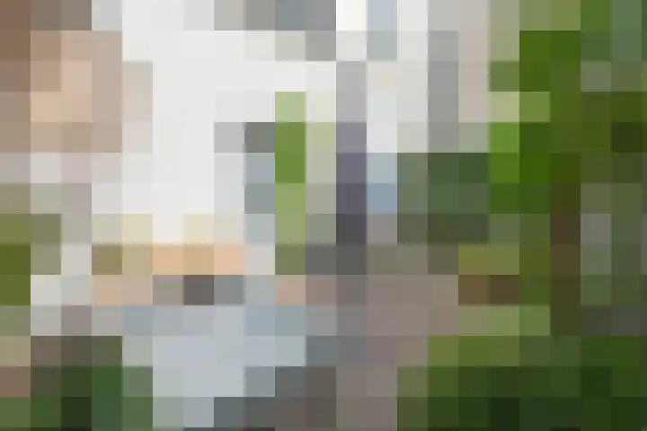 Begijnenstraat 44 Nijmegen thumbnail 19