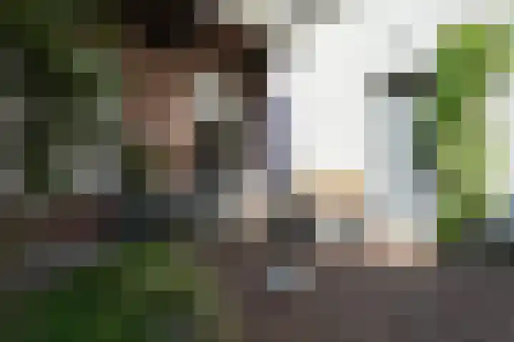 Begijnenstraat 44 Nijmegen thumbnail 20