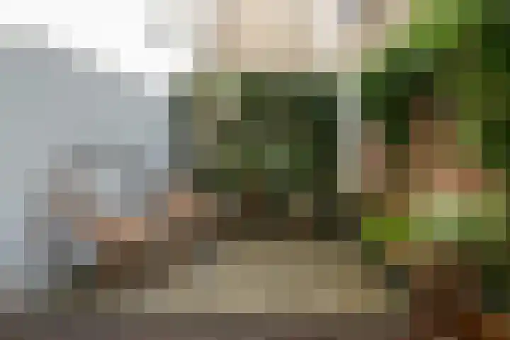 Begijnenstraat 44 Nijmegen thumbnail 21