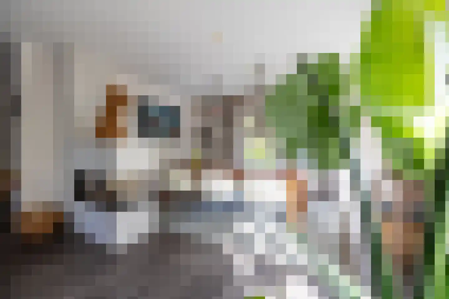Begijnenstraat 9 Doetinchem thumbnail 11