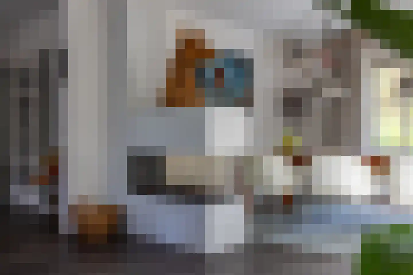 Begijnenstraat 9 Doetinchem thumbnail 12