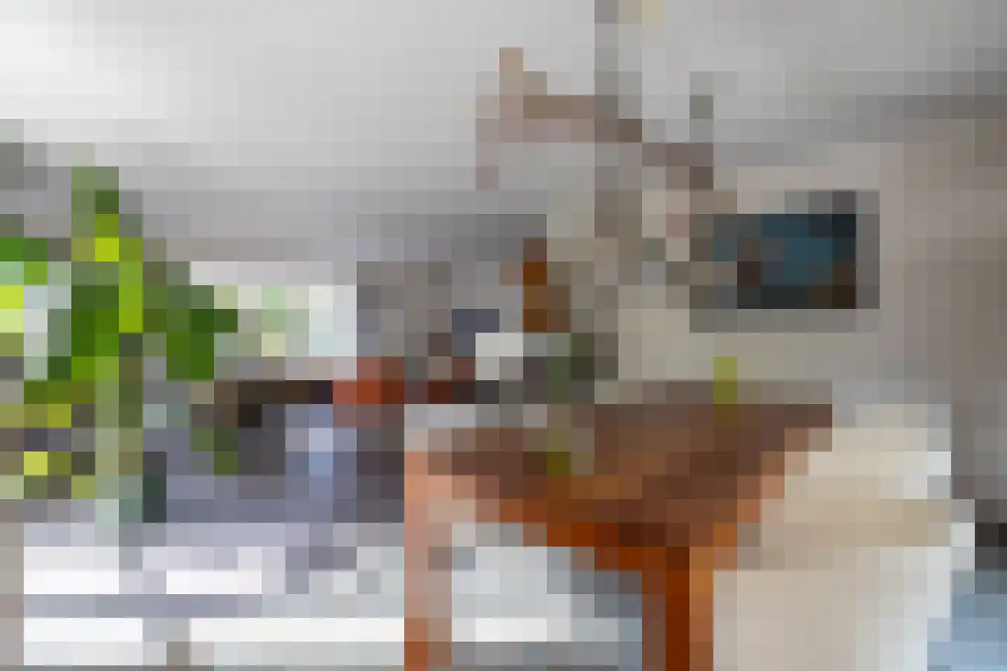 Begijnenstraat 9 Doetinchem thumbnail 13
