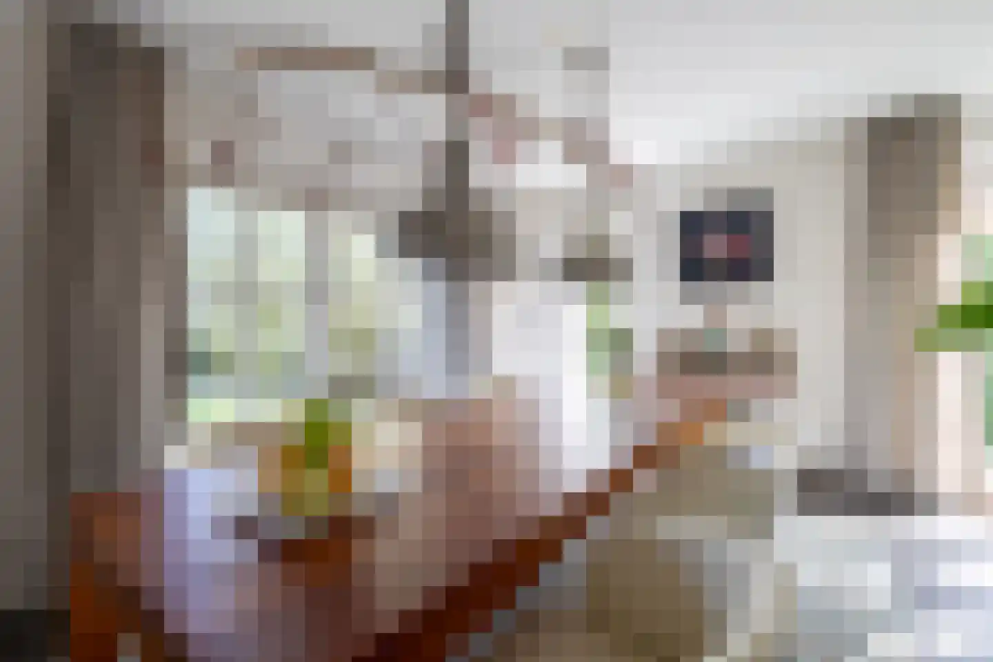 Begijnenstraat 9 Doetinchem thumbnail 14