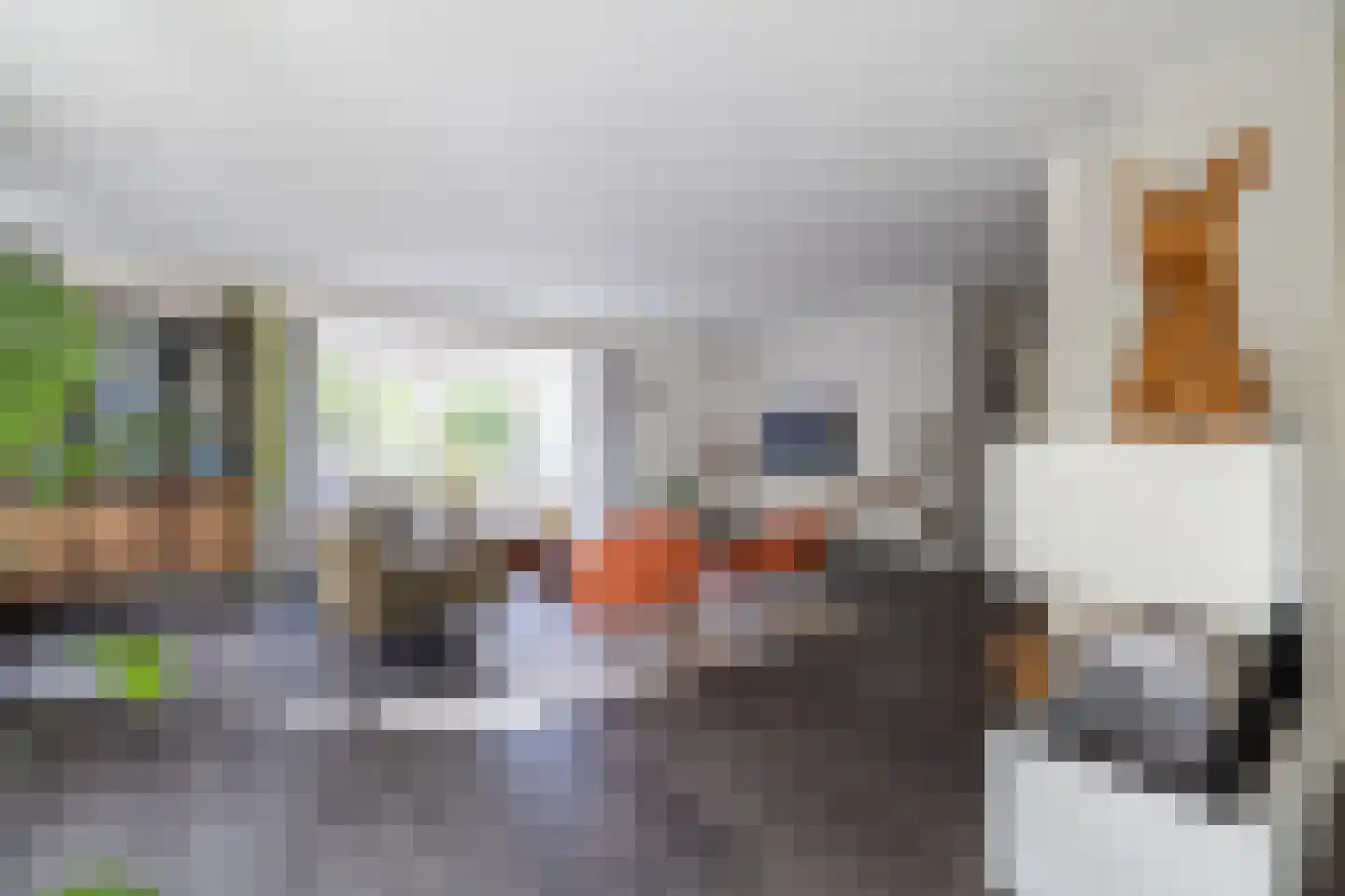 Begijnenstraat 9 Doetinchem thumbnail 15