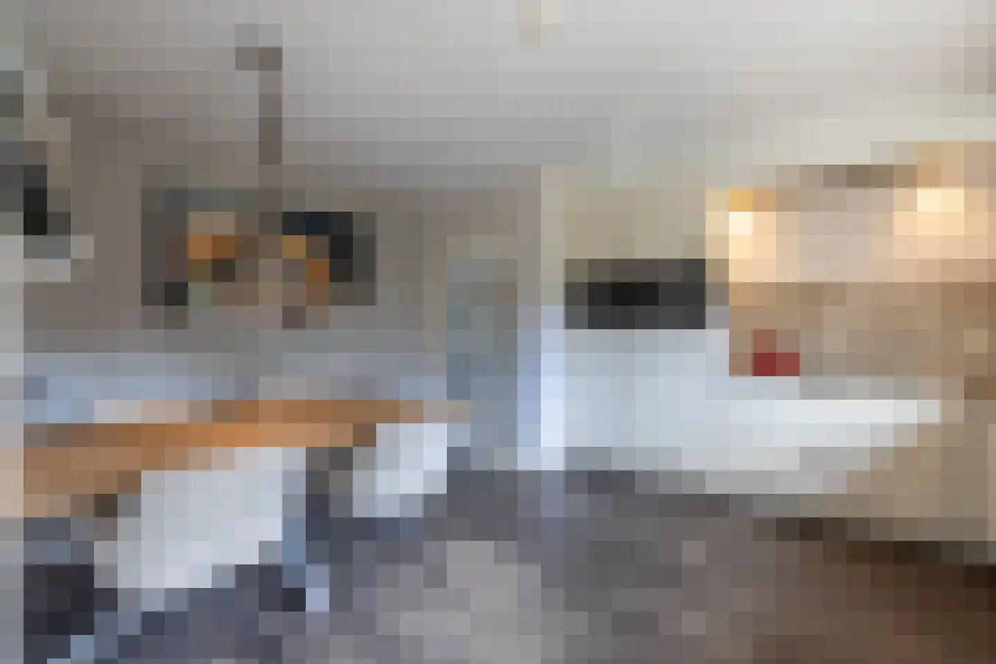Begijnenstraat 9 Doetinchem thumbnail 19