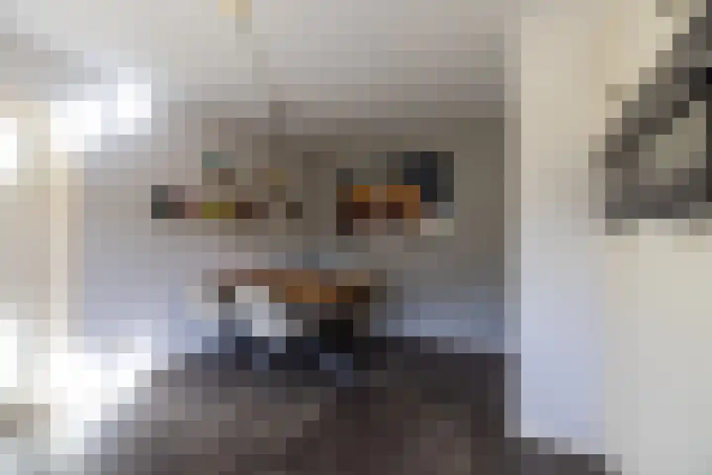 Begijnenstraat 9 Doetinchem thumbnail 20