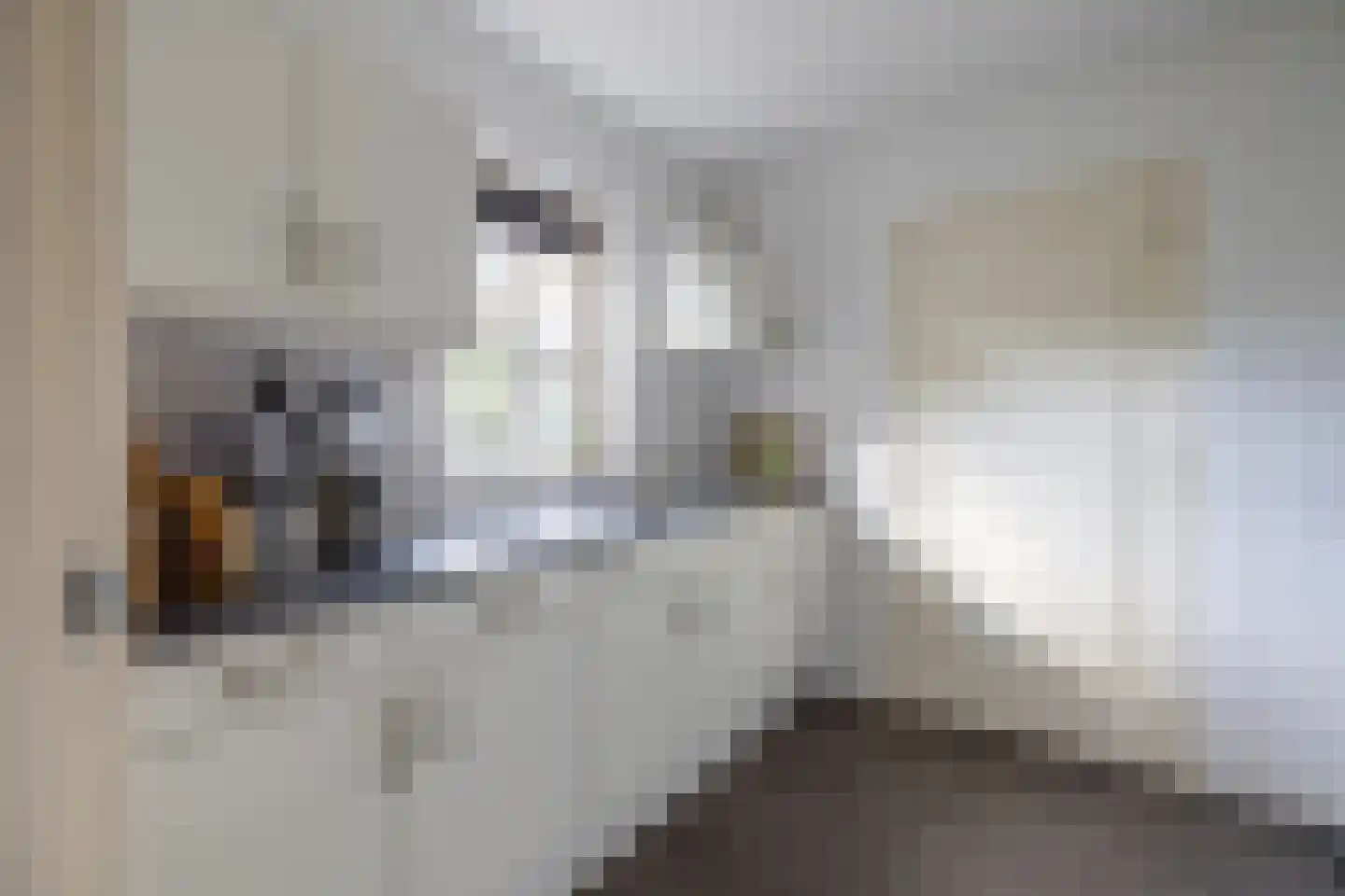 Begijnenstraat 9 Doetinchem thumbnail 21