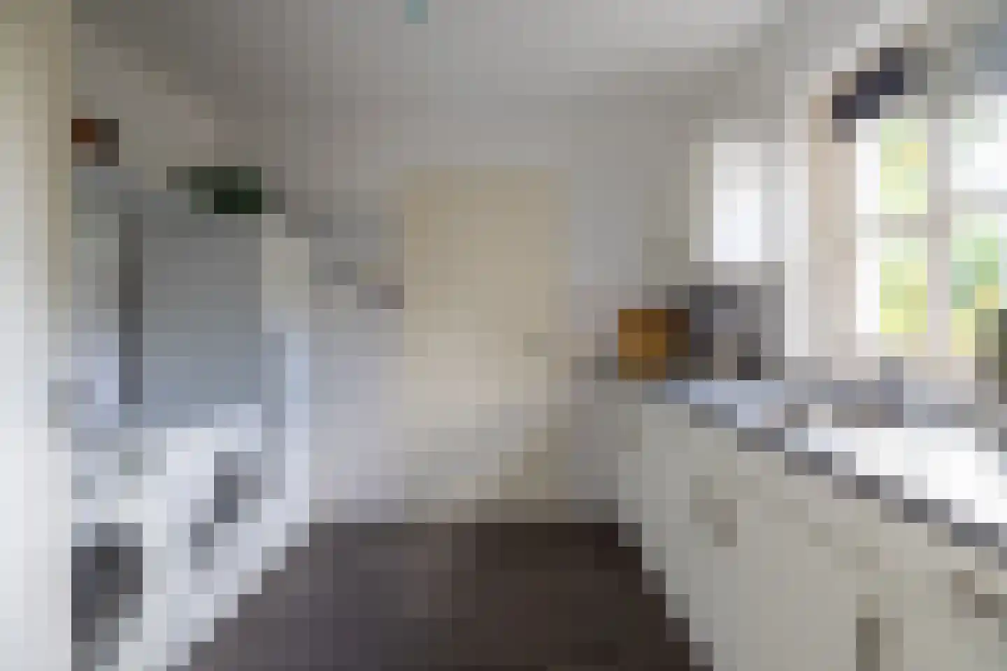 Begijnenstraat 9 Doetinchem thumbnail 22