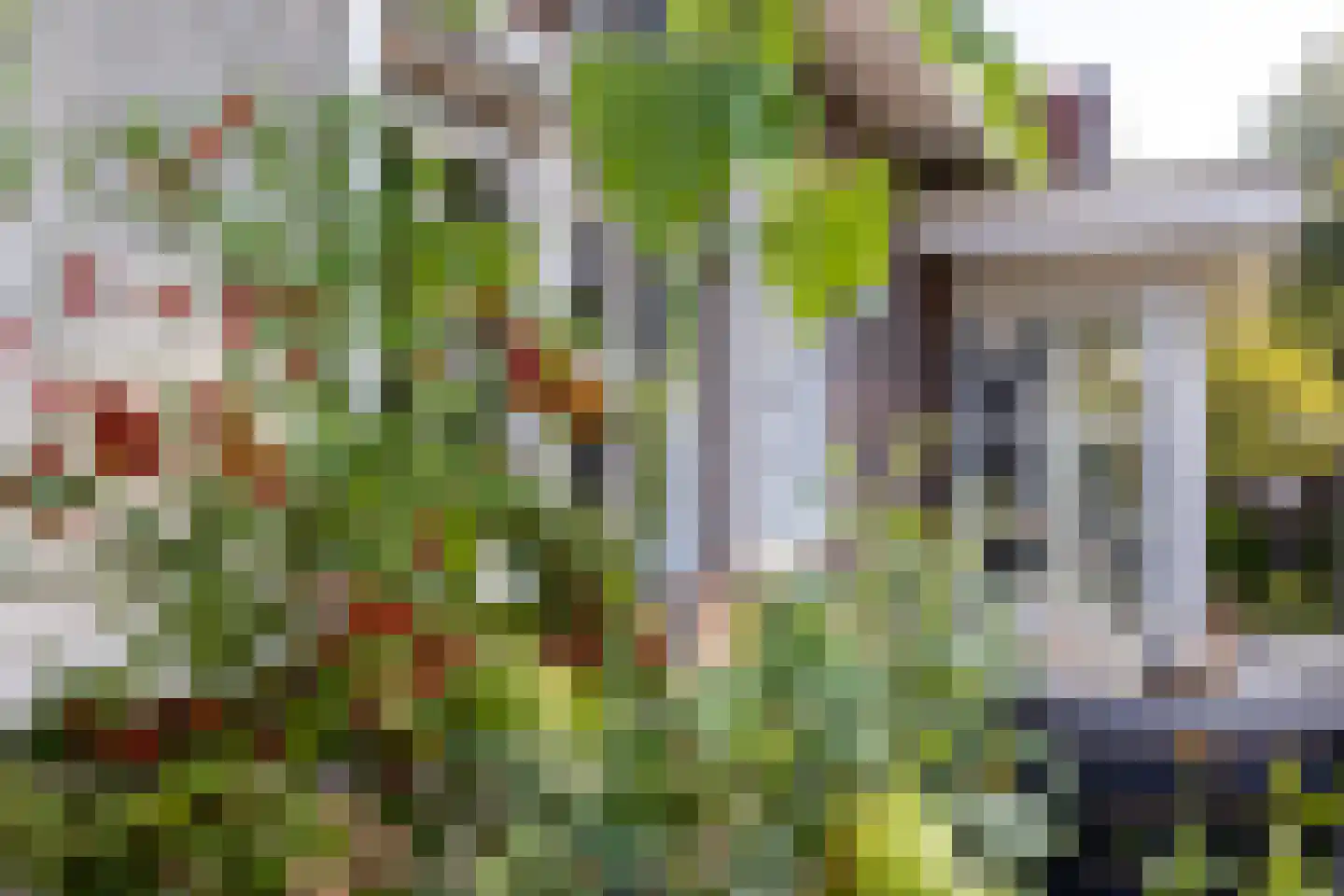Begijnenstraat 9 Doetinchem thumbnail 29