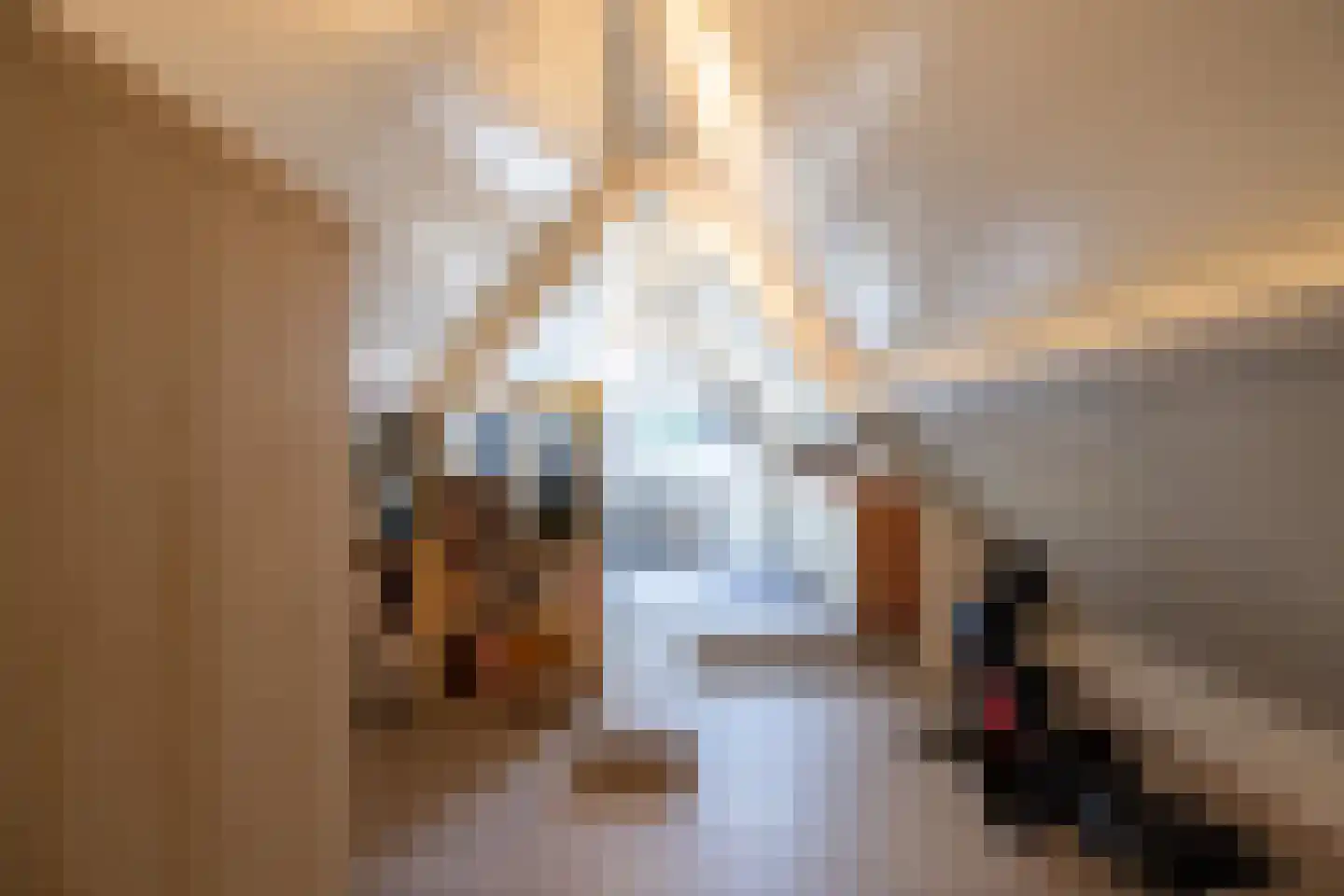 Begijnenstraat 9 Doetinchem thumbnail 43