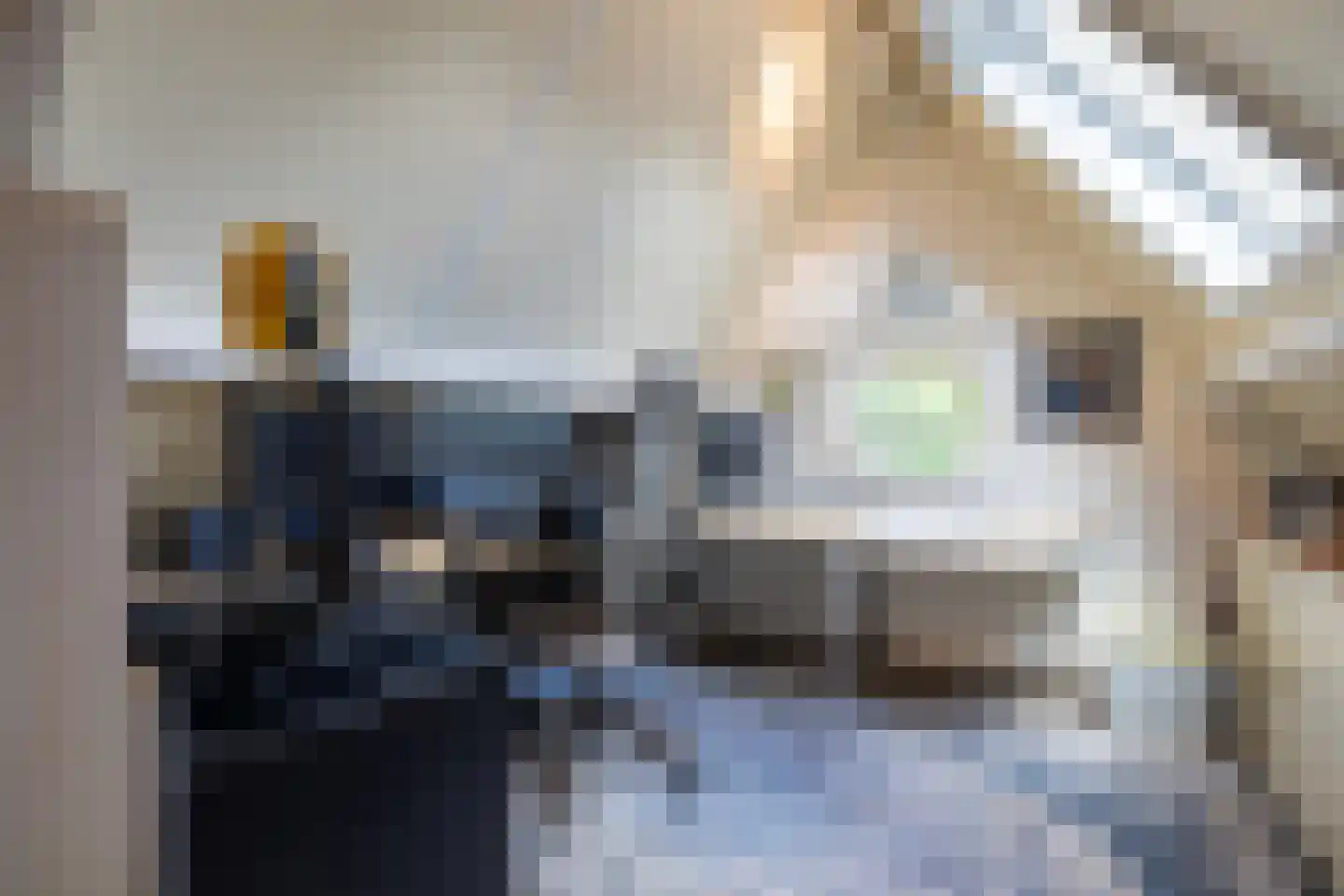 Begijnenstraat 9 Doetinchem thumbnail 44