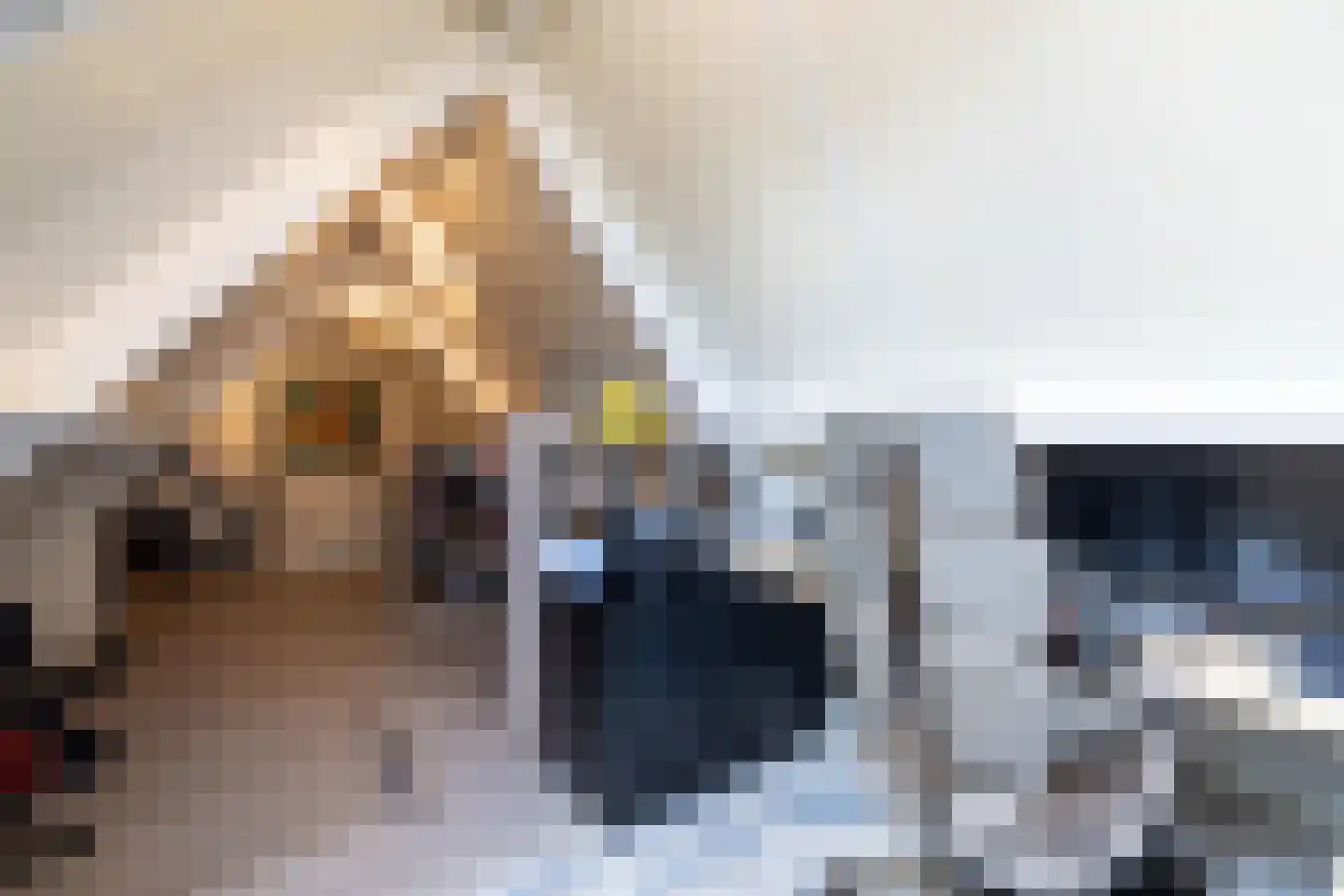 Begijnenstraat 9 Doetinchem thumbnail 46