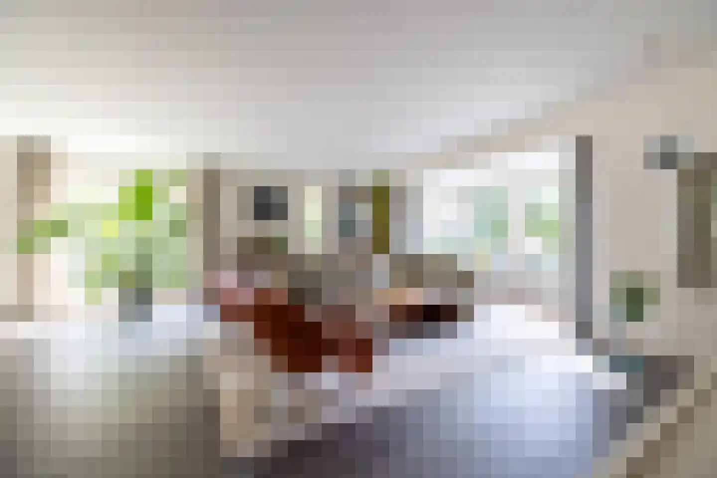 Begijnenstraat 9 Doetinchem thumbnail 5