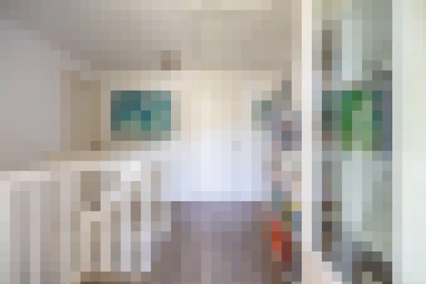 Begijnenstraat 9 Doetinchem thumbnail 59
