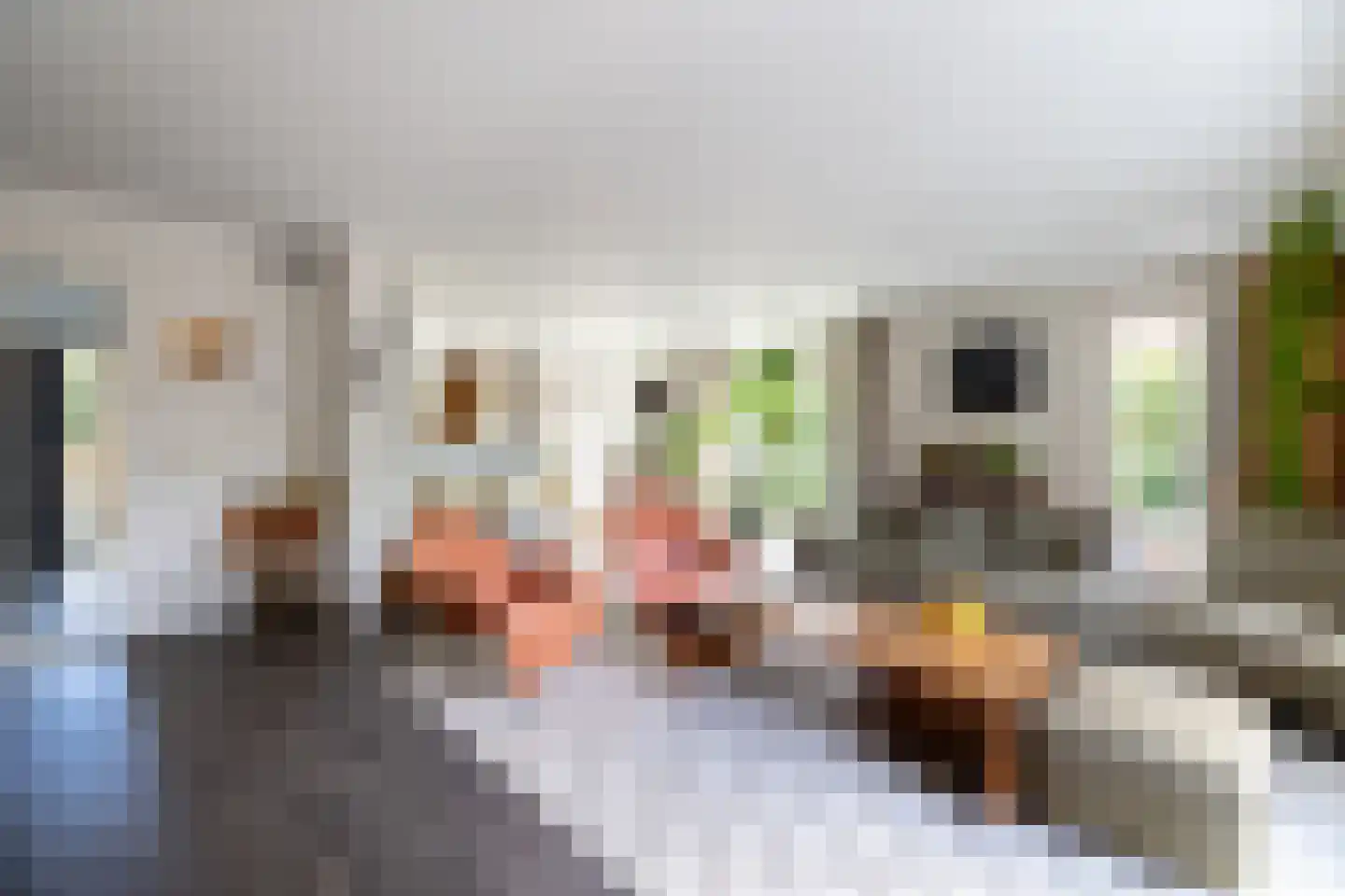 Begijnenstraat 9 Doetinchem thumbnail 6