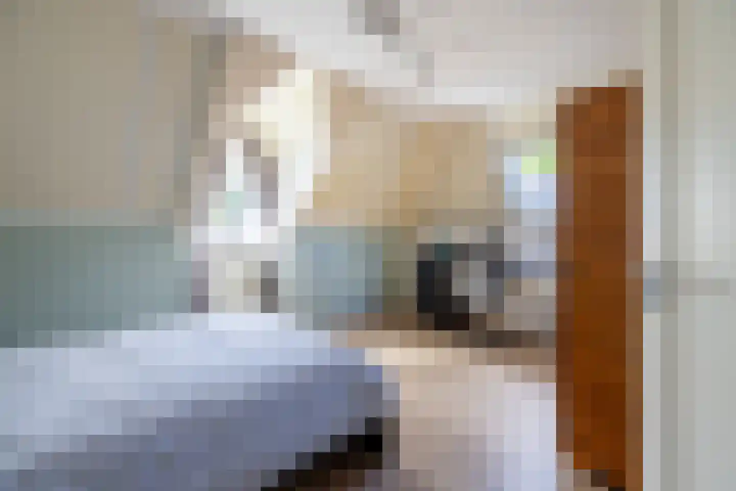 Begijnenstraat 9 Doetinchem thumbnail 61