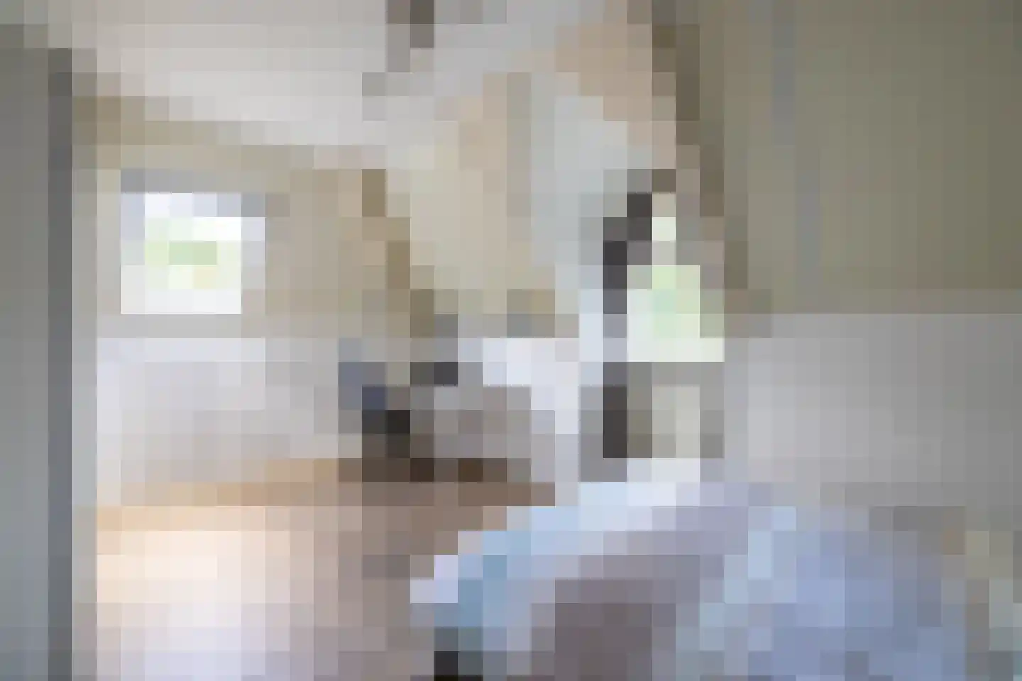 Begijnenstraat 9 Doetinchem thumbnail 64