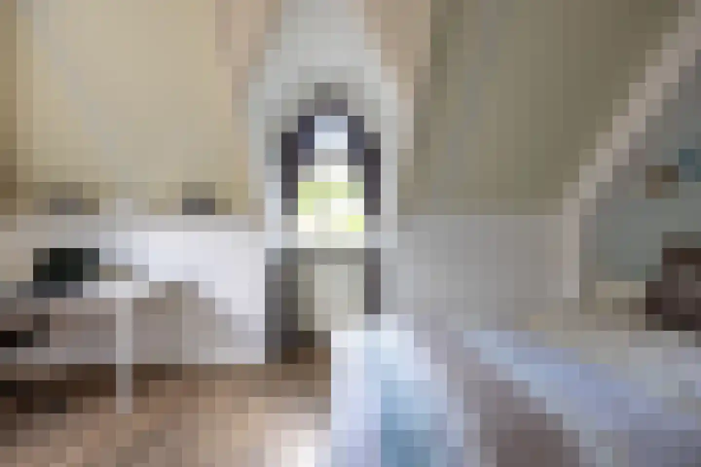 Begijnenstraat 9 Doetinchem thumbnail 65