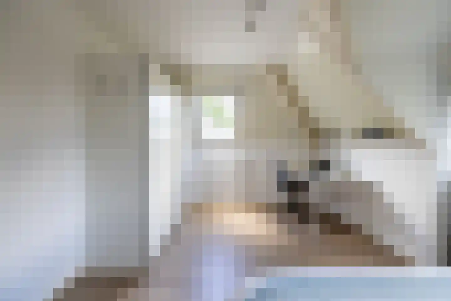 Begijnenstraat 9 Doetinchem thumbnail 66