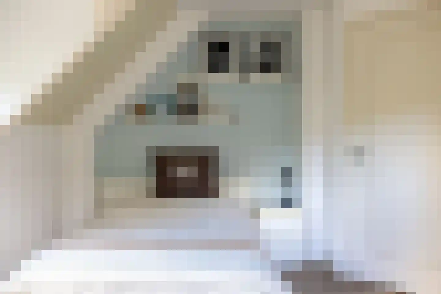 Begijnenstraat 9 Doetinchem thumbnail 68