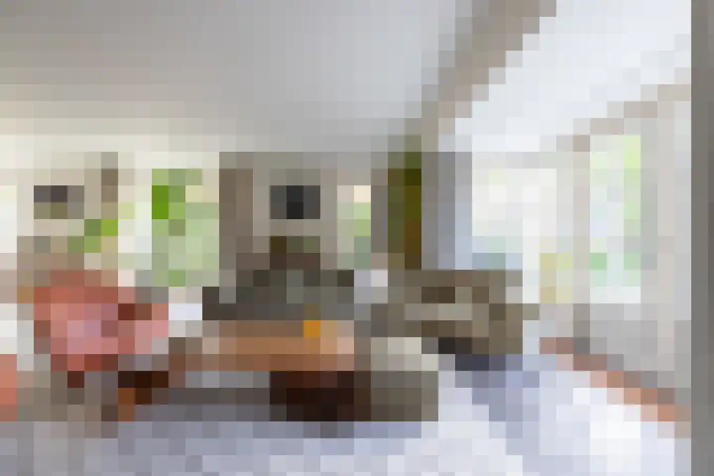 Begijnenstraat 9 Doetinchem thumbnail 7