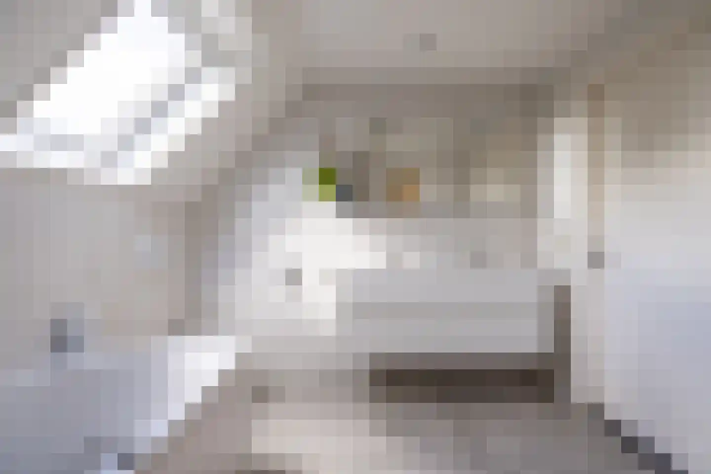 Begijnenstraat 9 Doetinchem thumbnail 70